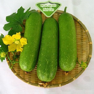 Bí đao chanh tươi ngon [CHỈ GIAO TPHCM]