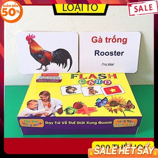 Bộ Thẻ Học Thông Minh 19 Chủ Đề Loại To Song ngữ tiếng Anh loại chuẩn Glenn Doman Flashcard cho bé từ 0-6 tuổi
