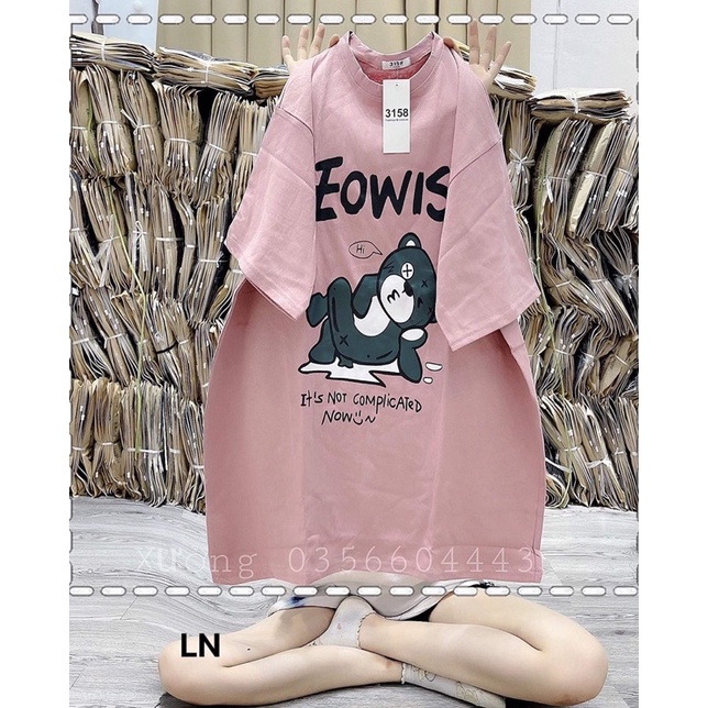 Áo phông gấu EOWIS LN12