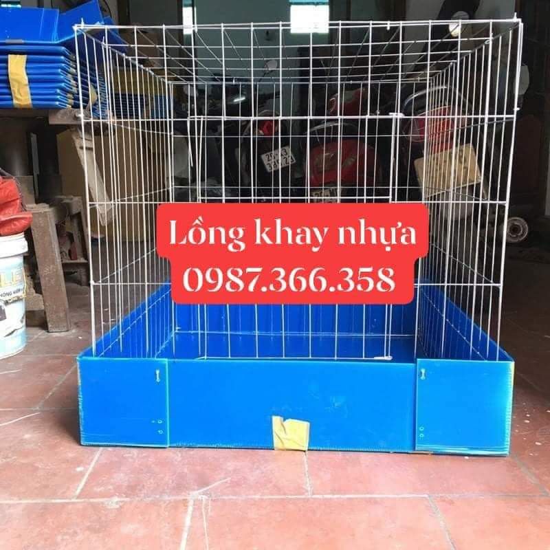 Lồng khay nuôi nhốt gà, chuồng gà khay nhựa kèm áo lồng