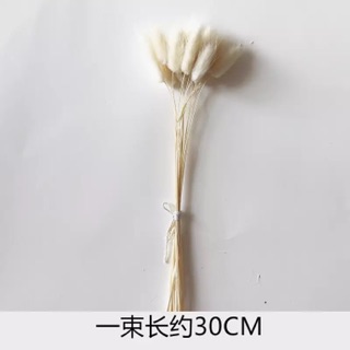 Lọ hoa và hoa khô decor