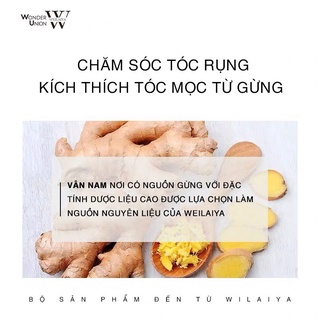Dầu gội gừng Weilaiya mini