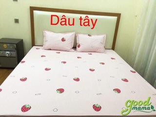 Ga chống thấm cotton
