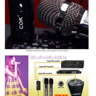 Micro Karaoke, Micro Không Dây cok 313  (2 Mic), Chuyên Dụng Cho Loa, Amply, Đổi Mới Trong 07 Ngày, bảo hành 12 tháng