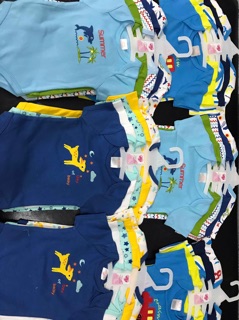 Set 5 body chip xuất Mỹ