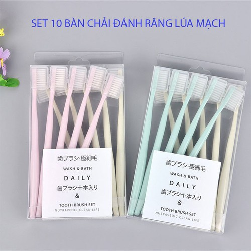 SET 10 BÀN CHẢI MUJI Nhật Bản