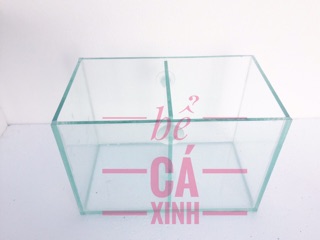 #Bể cá mini 2 ngăn #Bể_thuỷ tinh