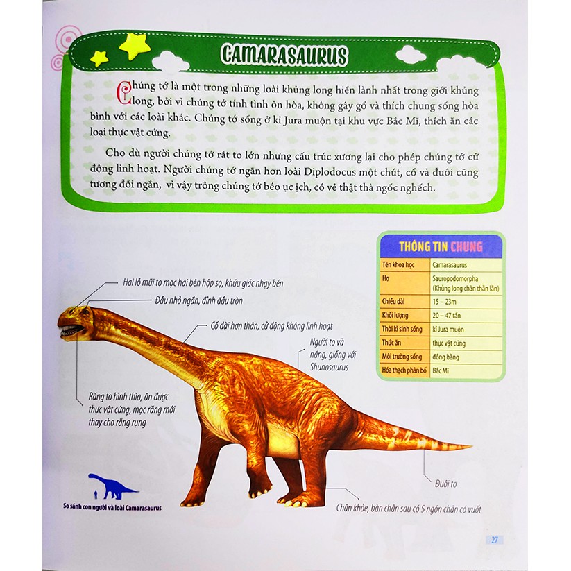 Sách cho bé - Bách Khoa Động Vật Dành Cho Trẻ Nhỏ - Khủng Long