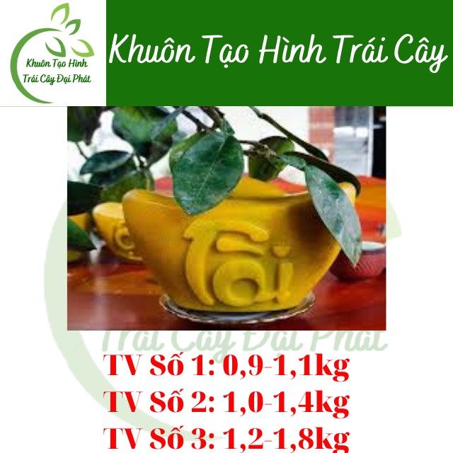 Khuôn Thỏi Vàng Số 3 Cỡ Đại, Loại Dày 5 li, Khuôn Tạo Hình Trái Cây Chữ TÀI LỘC