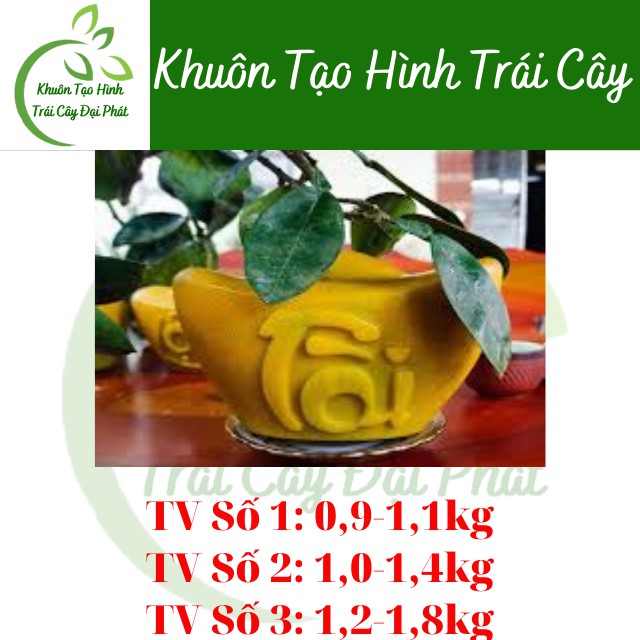 (Bưởi 1,2-1,8kg) Khuôn Thỏi Vàng Số 3 Cỡ Đại, Loại Dày 5 li, Khuôn Tạo Hình Trái Cây Chữ TÀI LỘC (Hàng Loại 1, bền đẹp)