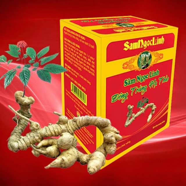 [CHÍNH HÃNG] Sâm Ngọc Linh - Đông trùng hạ thảo