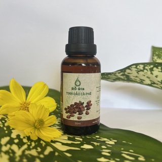 TINH DẦU XÔNG PHÒNG, XỊT PHÒNG