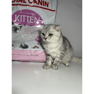 Hạt Royal Canin/Fit/Baby/Indoor.