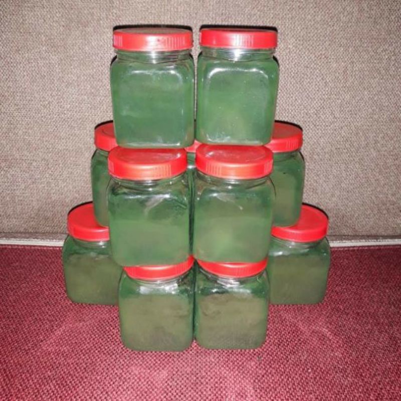 TẢO BỘT SPIRULINA- THỨC ĂN CÁ CẢNH THỨC ĂN ARTEMIA- NUÔI ARTEMIA SINH KHỐI