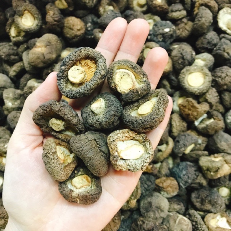 Nấm hương khô loại đẹp không pha