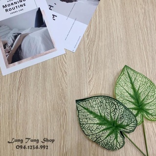 Phông nền giấy dán tường vân gỗ G4 - Thảm chụp hình vân gỗ , decal dán tường bàn tủ có sẵn keo