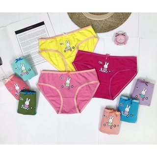 Set 5 quần lót trẻ em bé gái chất liệu cotton blend cực kỳ thoáng mát, hàng việt nam xuất khẩu
