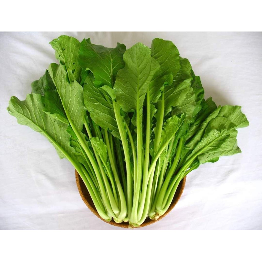 Hạt giống cải ngọt Champion Hai Mũi Tên Đỏ 100g