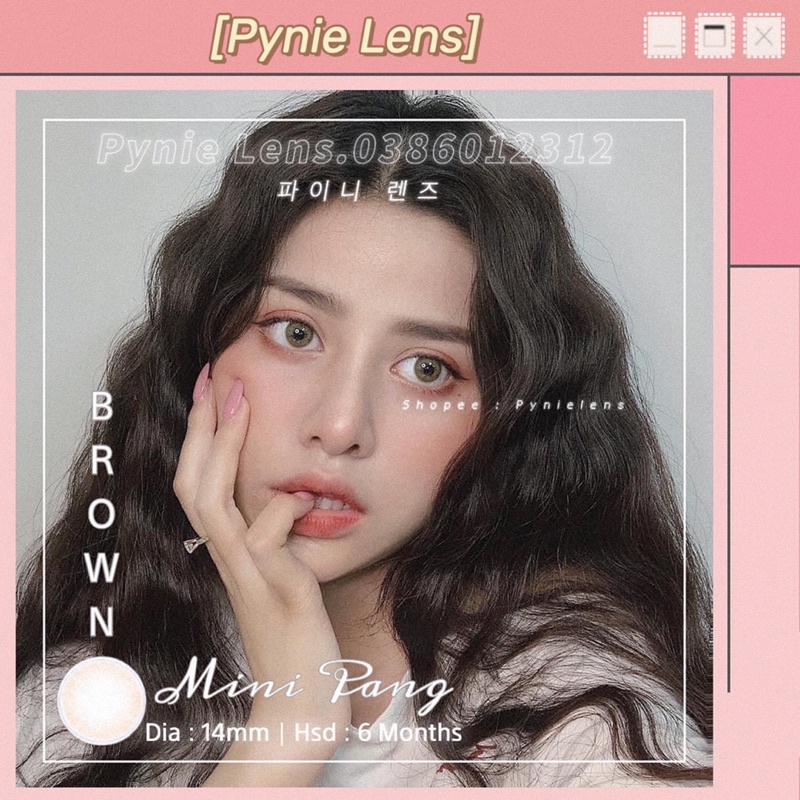 🦋 𝐿𝑒𝑛𝑠 𝑀𝑖𝑛𝑖 𝑃𝑎𝑛𝑔 🦋 nâu không viền lên mắt tây và sáng | Pynielens ✨
