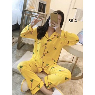Bộ ngủ pijama