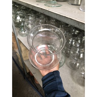 Chậu Thuỷ Tinh Trồng Cây Nuôi Cá tặng kèm 5 nhánh Trầu Bà