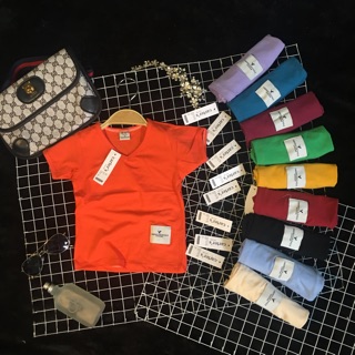 Combo 50