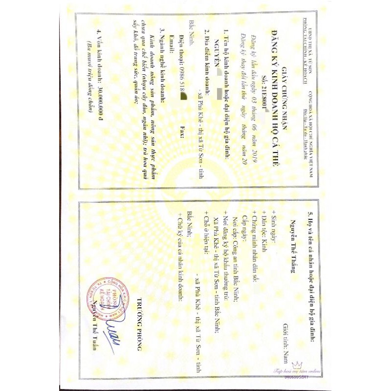 Trà chanh lát lá sen 10 gói 100gr | BigBuy360 - bigbuy360.vn