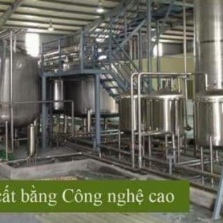DẦU TRÀM THIÊN AN