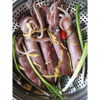 MỰC HẤP THUYỀN