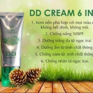Kem nền DD