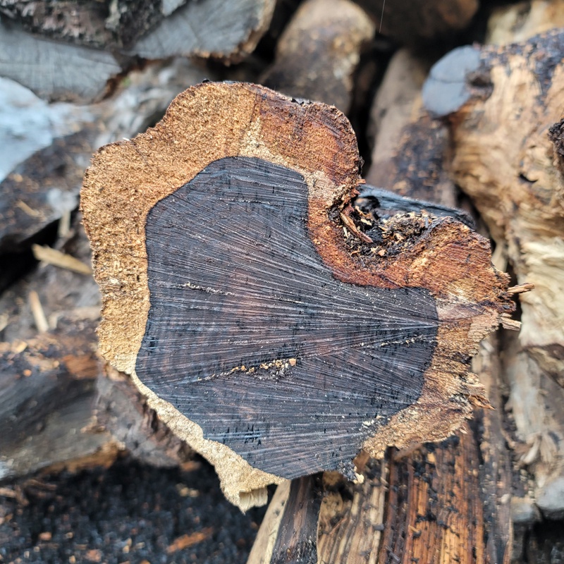 Vòng Tay Hạt Gỗ Muny six-Caracter mantra Cho Nam