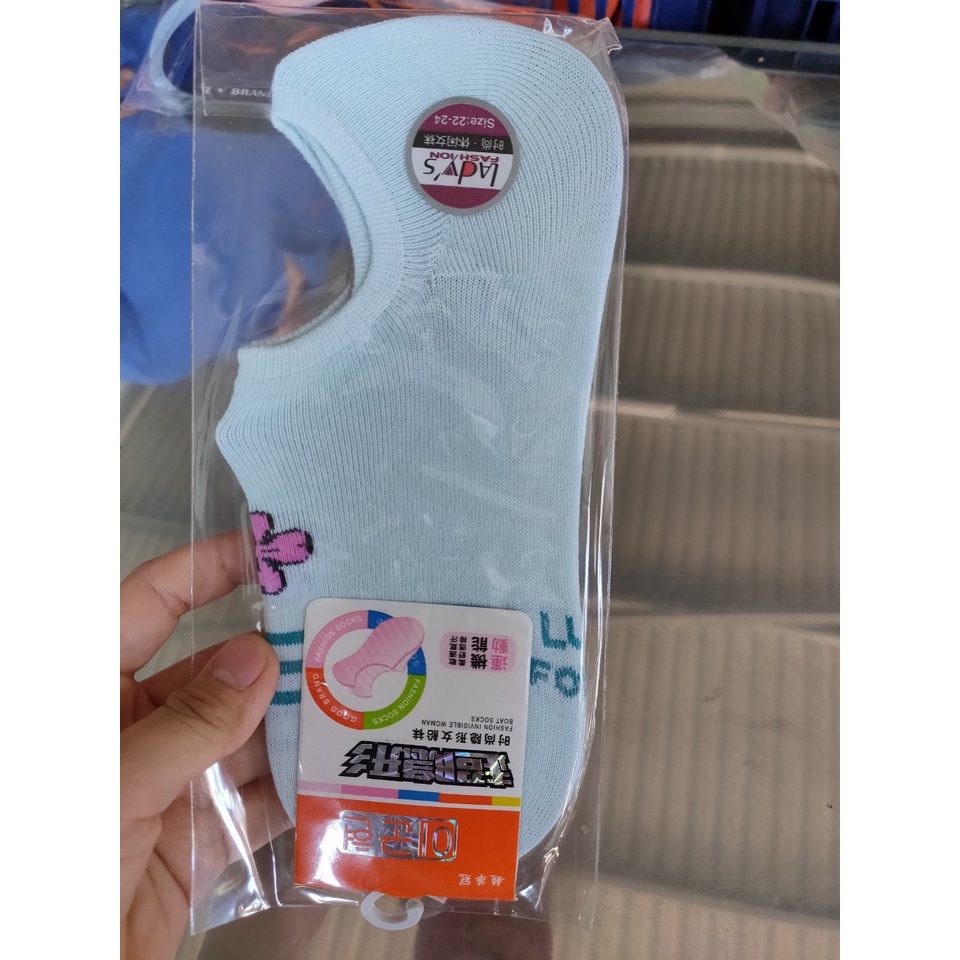 Vớ Cotton Màu Thoáng Khí Thời Trang Cho Nữ