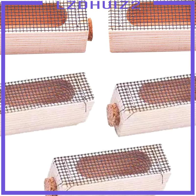 Set 5 Lồng Bắt Ong Chúa Chuyên Dụng Cho Nuôi Ong