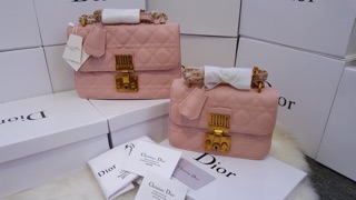 Túi Dior