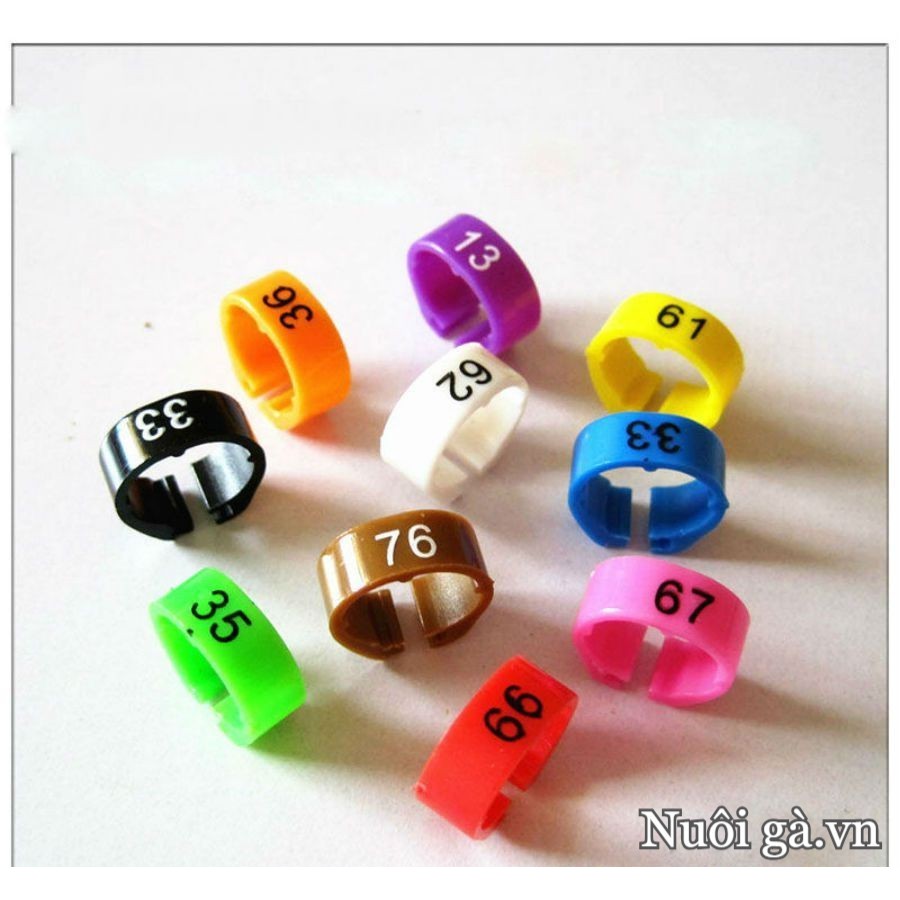100 Vòng Đeo Chân Bồ Câu