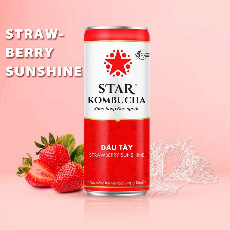 [Lốc 6 lon]Thức uống lên men STAR KOMBUCHA All-in-One⚡hàng chính hãng ⚡[250ml/lon]