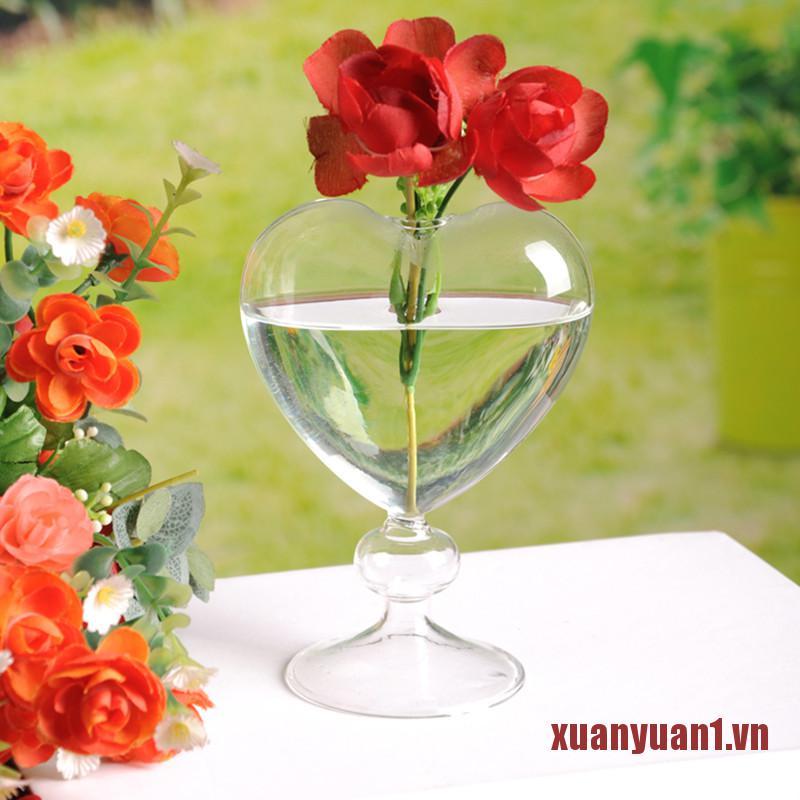Chậu Kính Trồng Cây Hình Trái Tim Trang Trí Nhà Cửa