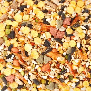 Thức ăn hải sản cho hamster