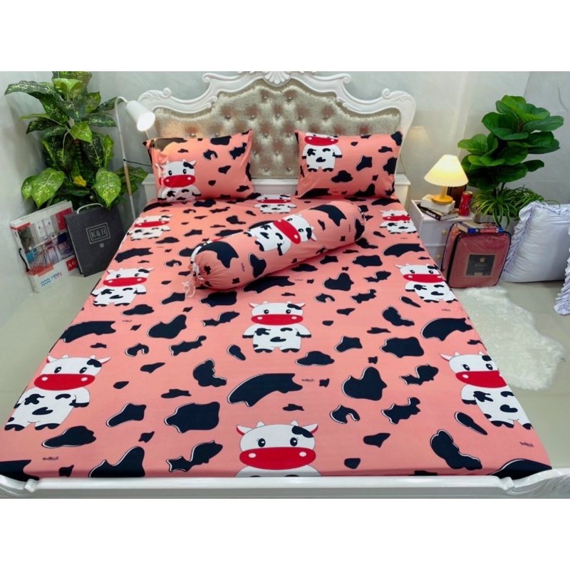 Bộ drap thun Hàn Quốc