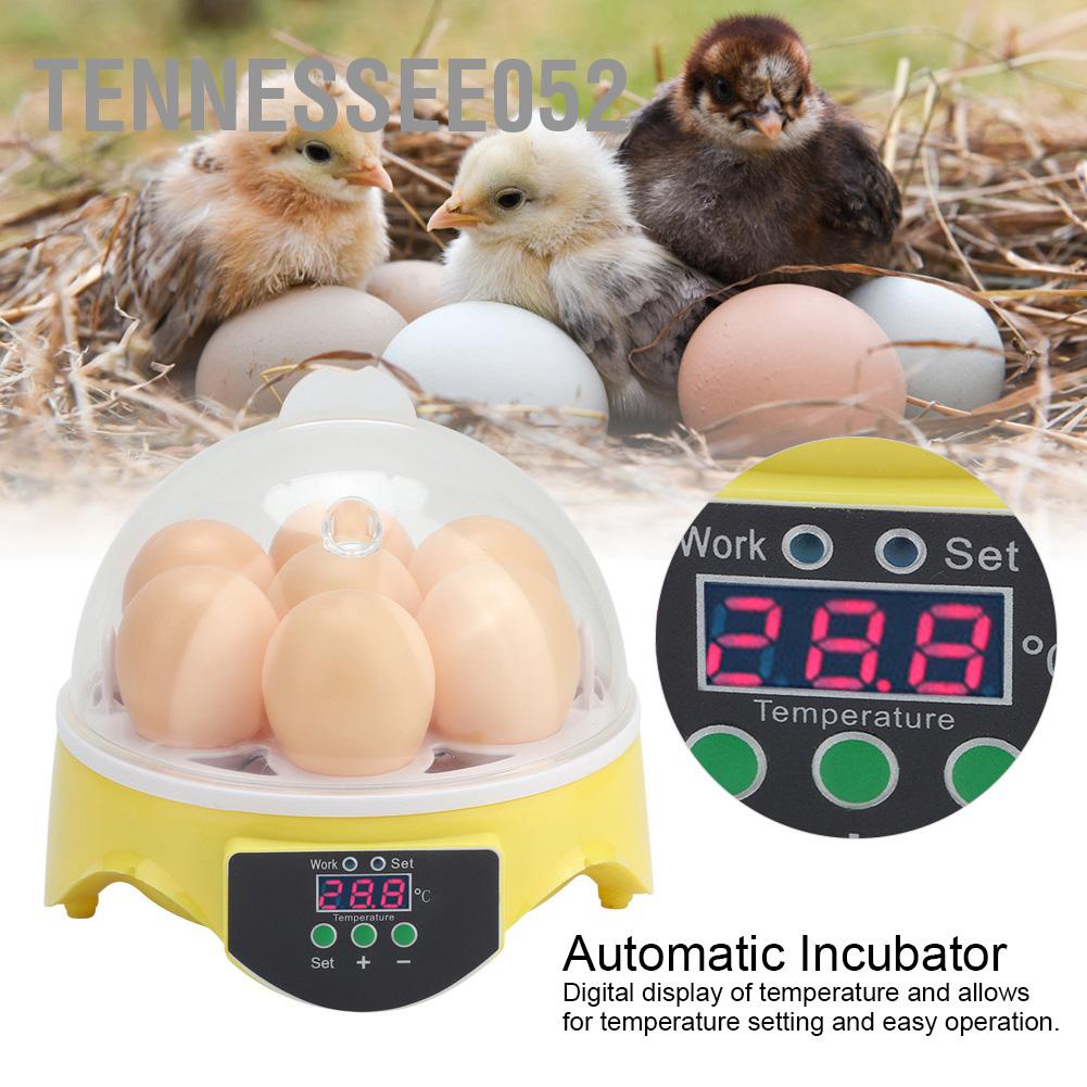 Tennessee052 7 trứng Nhà thông minh Gà vịt Vịt tự động hoàn toàn kiểm soát nhiệt độ ấp