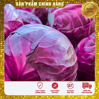 Hạt Giống Cải Bắp Tím(40 hạt)