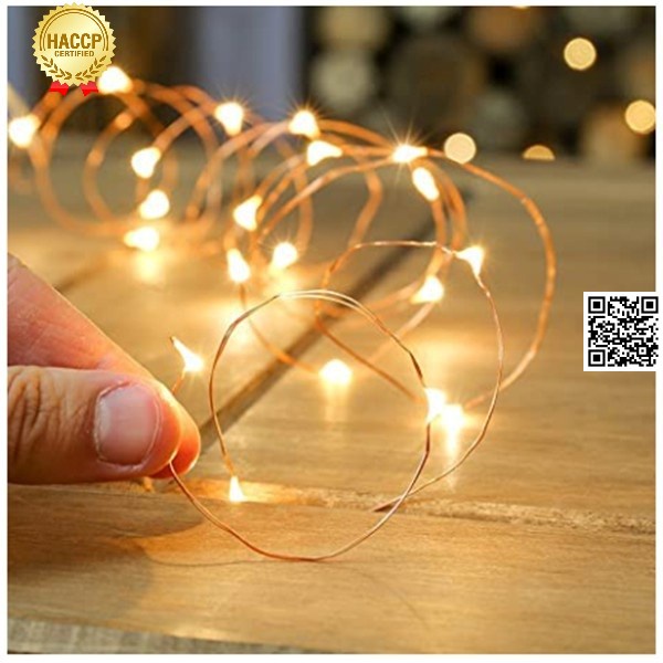 Đèn Led tết trang trí cây mai 3 chế độ nháy Ánh sáng vàng tặng kèm 3 pin cúc fairy light 1806