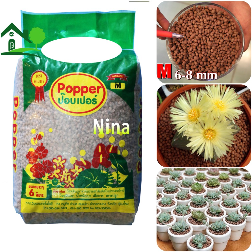 Túi 6 lít size M - đất sét nung thailand trồng sen đá bonsai xương rồng hàng Thailand