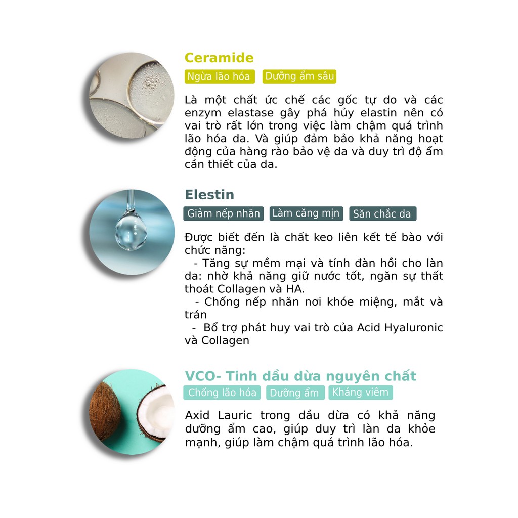 Kem Dưỡng Ẩm Chuyên Sâu Dành Cho Da Khô, Nhạy Cảm Cocolarme Moisture Cream