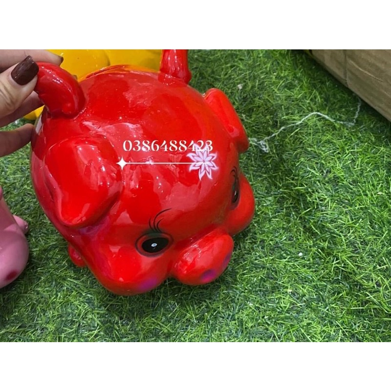 Heo tiết kiệm thiên thần cánh đứng, cánh cụp