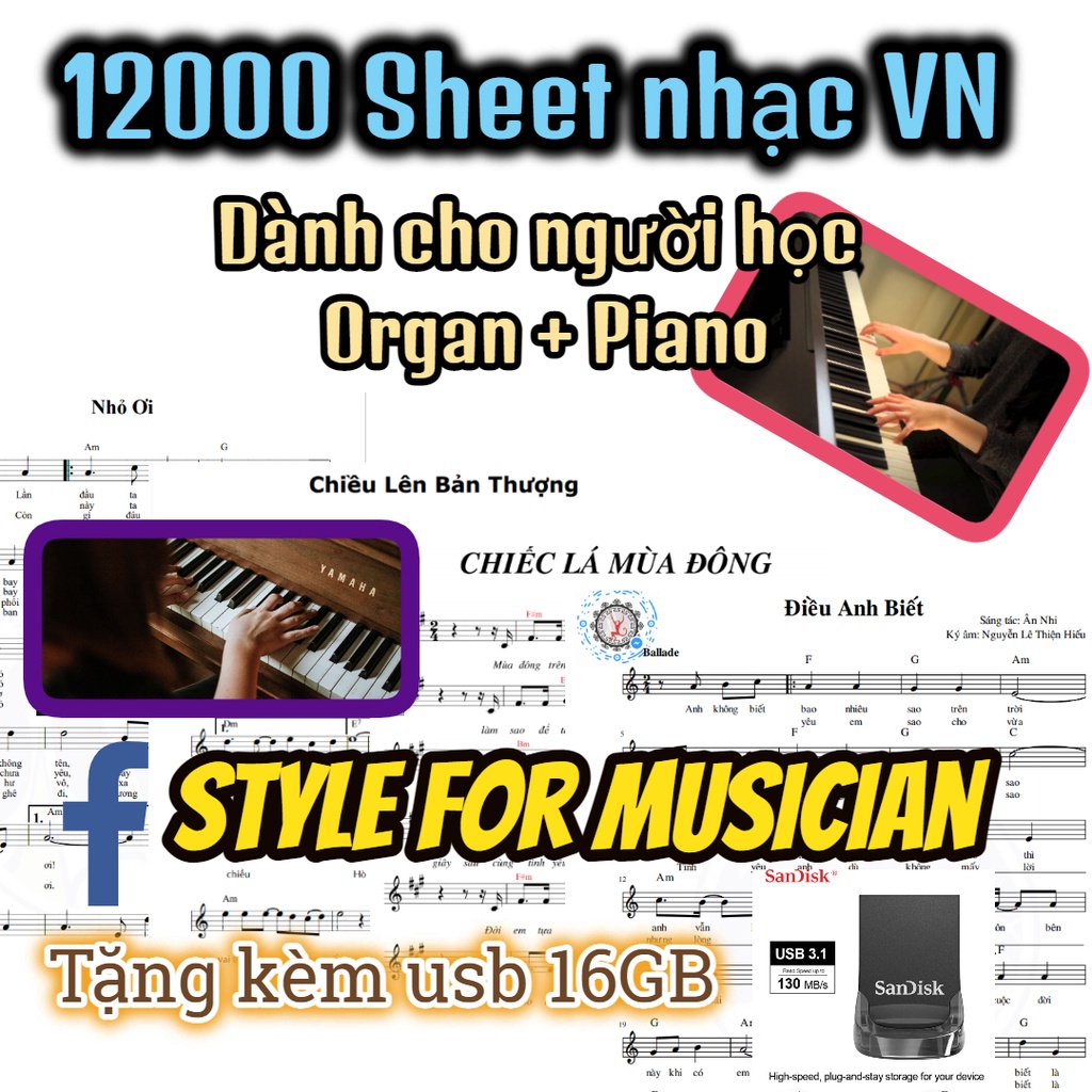 12000 file Sheet nhạc Việt Nam dành cho người học Organ và Piano - Tặng kèm USB 16GB