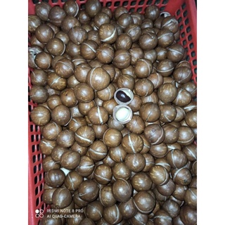 1KG MẮC CA ĐĂK LĂK SẤY CHÍN