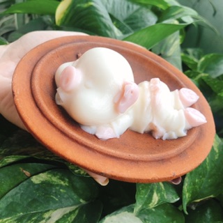 Khuôn heo silicone