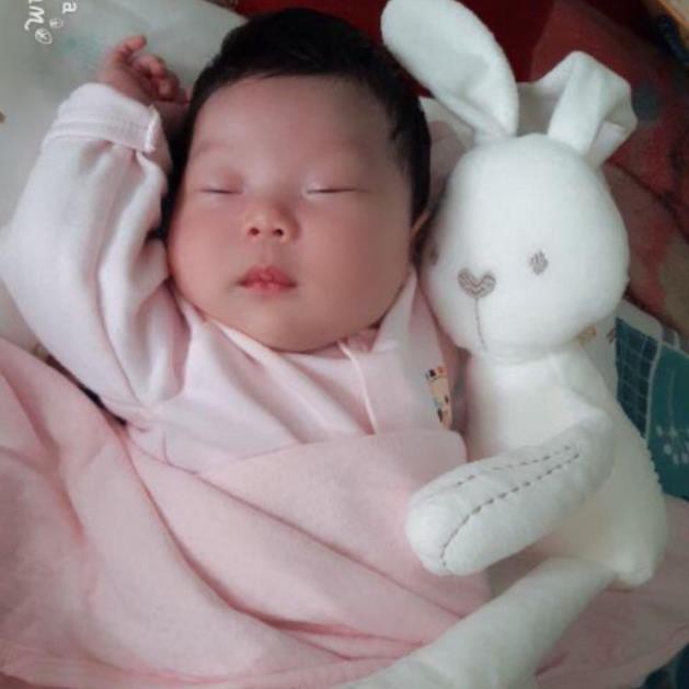 Thỏ Trắng Ôm Ngủ