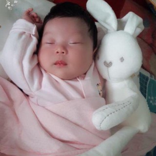 Thỏ Trắng Ôm Ngủ